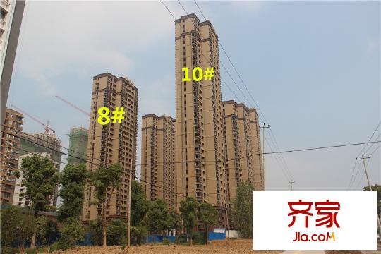 濱湖南麗灣二期8#10#樓工程進(jìn)度（2015.9.24）
