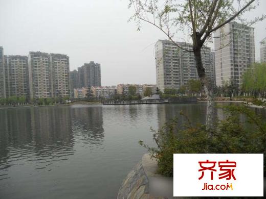 望湖城日桂苑外景圖3