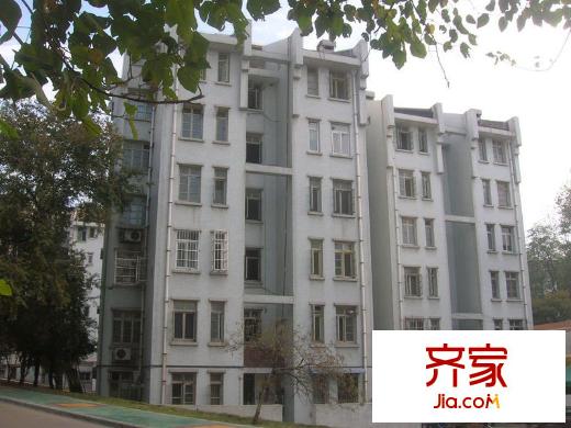 琥珀南村外景圖8