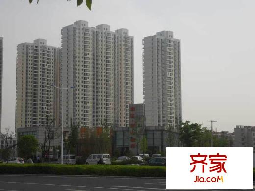 西山銀杏外景圖2