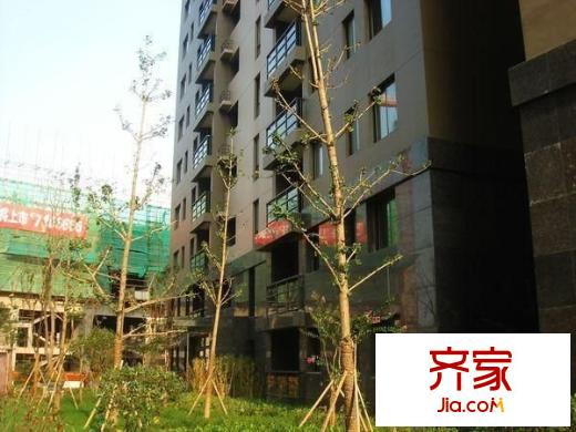 西山銀杏外景圖?芒果公寓 