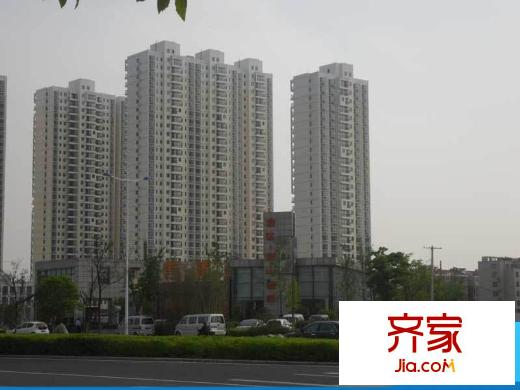西山銀杏外景圖1