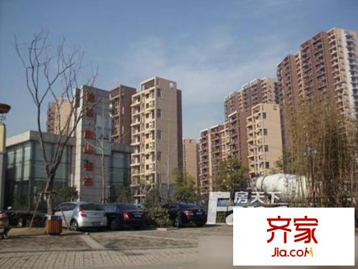 西山銀杏外景圖7