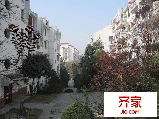 琥珀南村外景圖