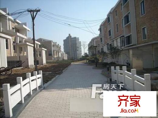 金成港灣外景圖7