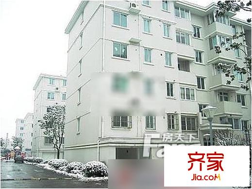 外貿(mào)一區(qū)外景圖1