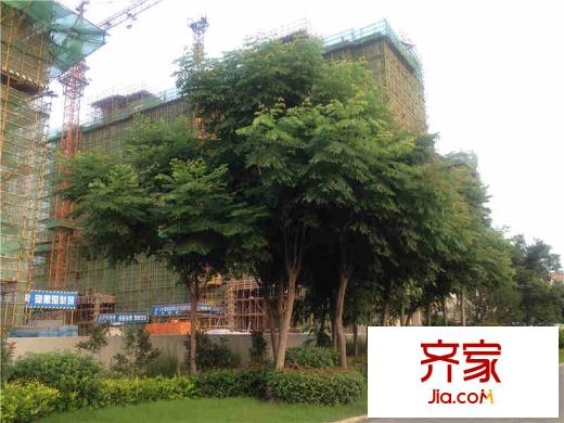 碧桂園濱湖城小區(qū)實(shí)景（2014-07-10）
