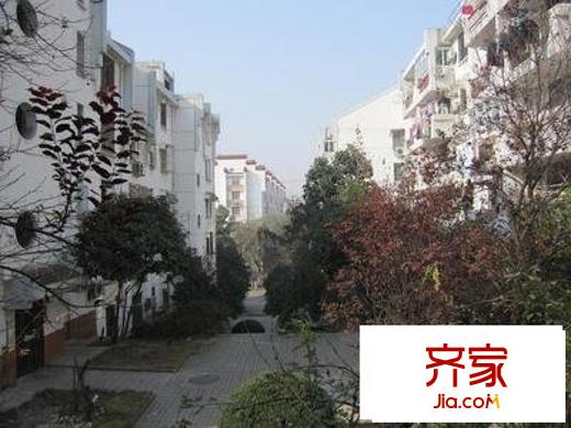 琥珀北村外景圖 