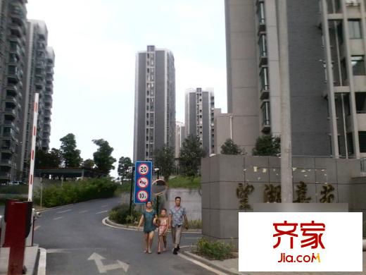 望湖嘉苑外景圖3