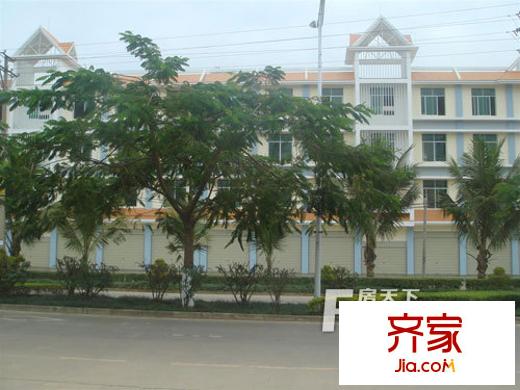 國際花都郁金苑