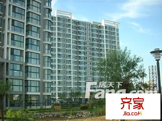 金色梧桐外景圖5