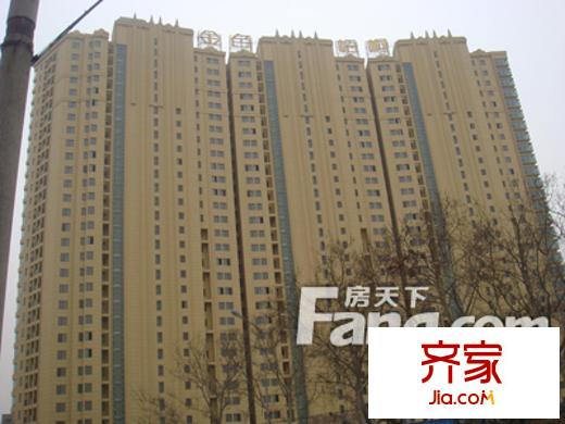 金色梧桐外景圖2