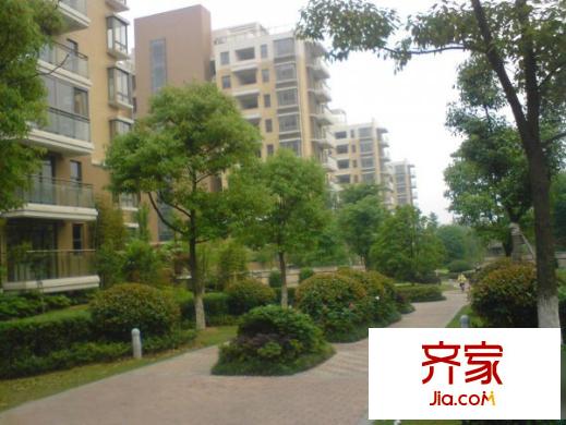 金典名筑外景圖4