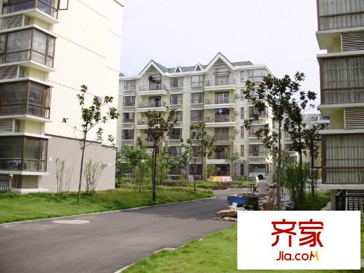 金典名筑外景圖2