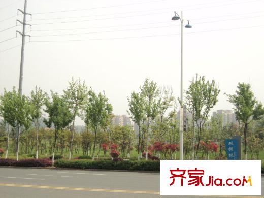 中海原山配套圖周邊雙擁林