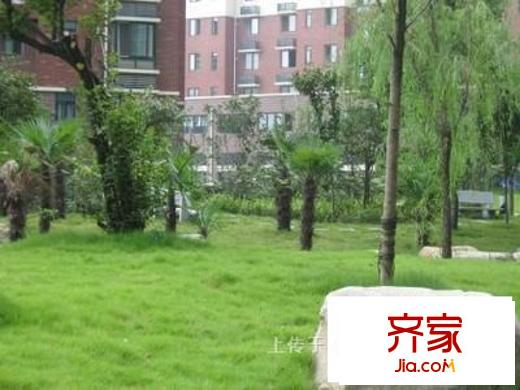 融僑中央美域外景圖中央美域 