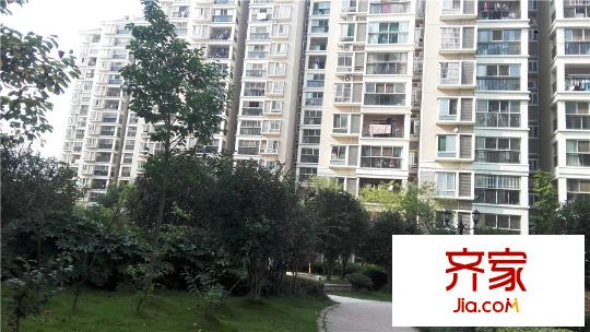 多倫多國(guó)際花園項(xiàng)目實(shí)景（2015-9-22）