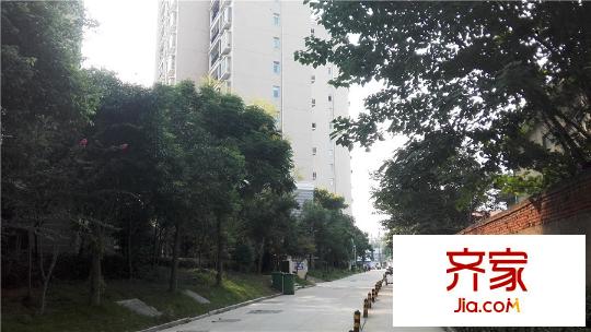 多倫多國際花園小區(qū)實(shí)景（2015.9.22）