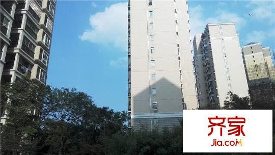 多倫多國(guó)際花園項(xiàng)目實(shí)景（2015.9.22）