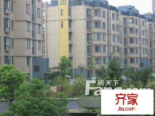 丁香家園外景圖10