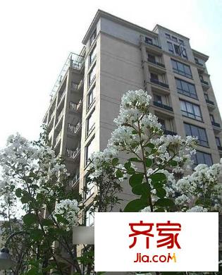 青年城1號外景圖