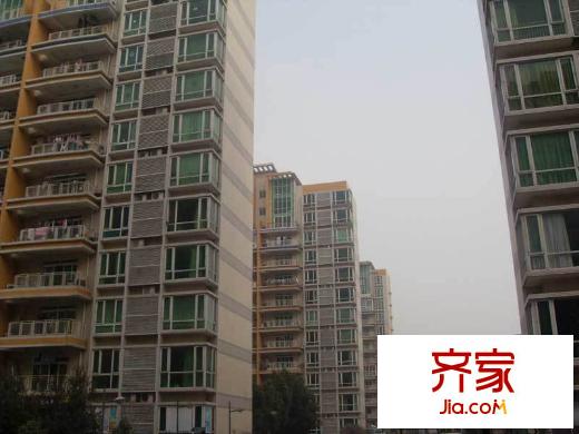 青年城1號外景圖