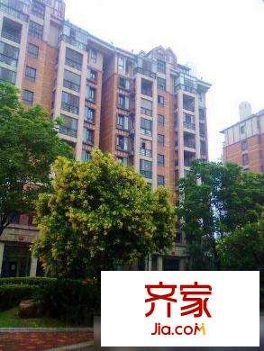 國(guó)際花都玫瑰苑外景圖