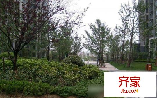 國(guó)際花都玫瑰苑外景圖