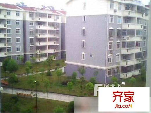 包河花園外景圖7