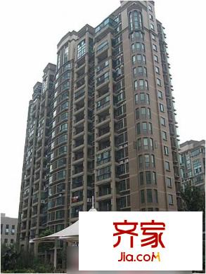 國際花都雛菊苑外景圖2010080438830793
