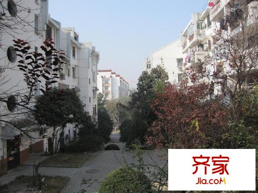 琥珀山莊外景圖4