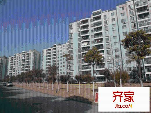 翠竹園外景圖外景3