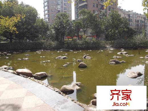 寶業(yè)城市綠苑實(shí)景圖小區(qū)實(shí)景（2013.3.5）