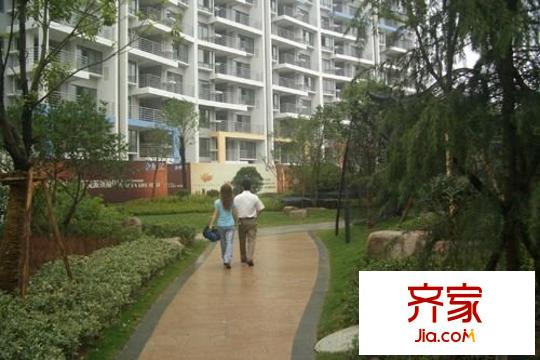 新華學(xué)府春天外景圖 