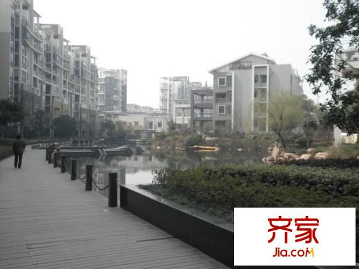 新華學(xué)府春天外景圖 