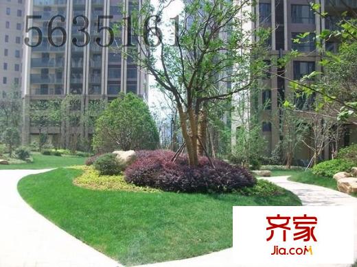 印象西湖外景圖 