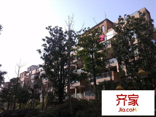 園上園實(shí)景圖小區(qū)實(shí)景（2013-3-5）