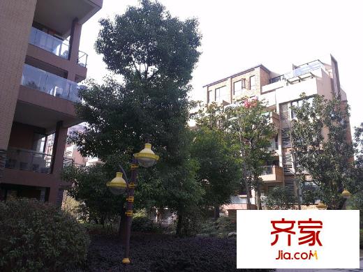 園上園實(shí)景圖小區(qū)實(shí)景（2013-3-5）
