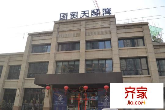 國貿(mào)天琴灣外景圖1