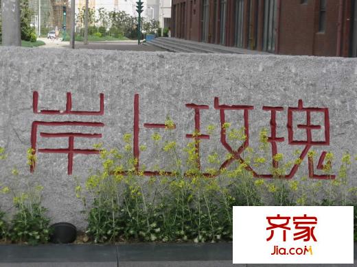 岸上玫瑰外景圖1
