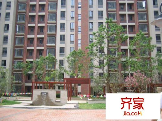 岸上玫瑰外景圖外景2