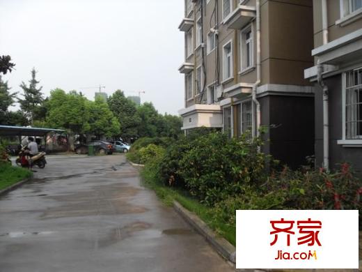 興園小區(qū)外景圖 