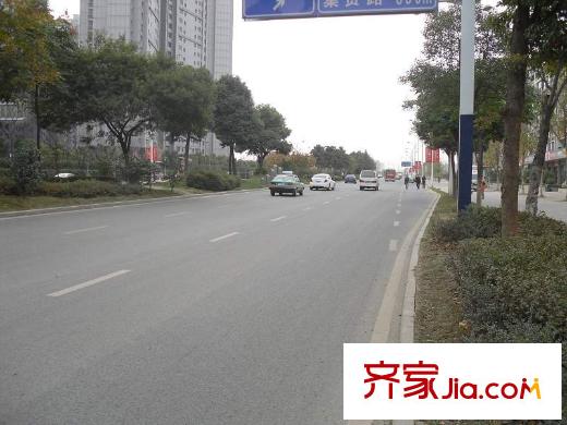 岸上玫瑰配套圖周邊