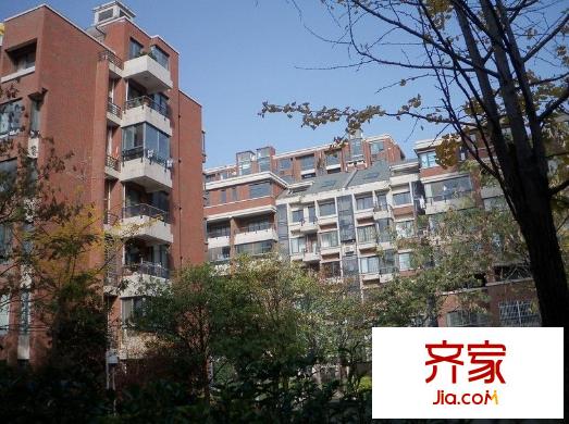 岸上玫瑰外景圖 