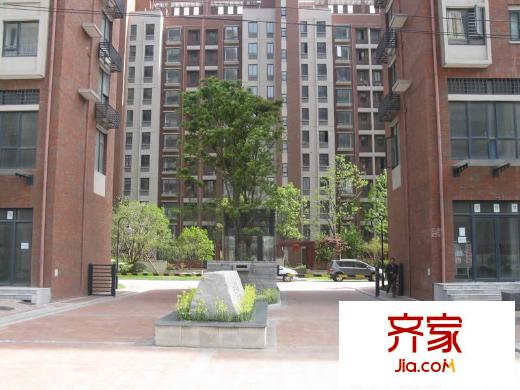 岸上玫瑰外景圖3