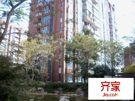 岸上玫瑰外景圖 