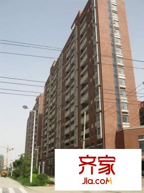 岸上玫瑰外景圖2