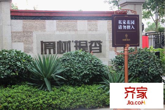 原樹提香小區(qū)（2015.9.22）