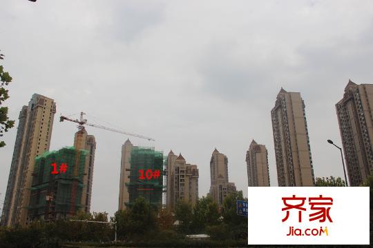 原樹提香工程進度（2015.9.22）