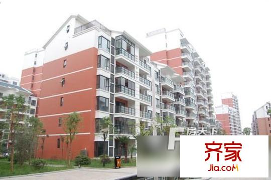 南湖春城外景圖1